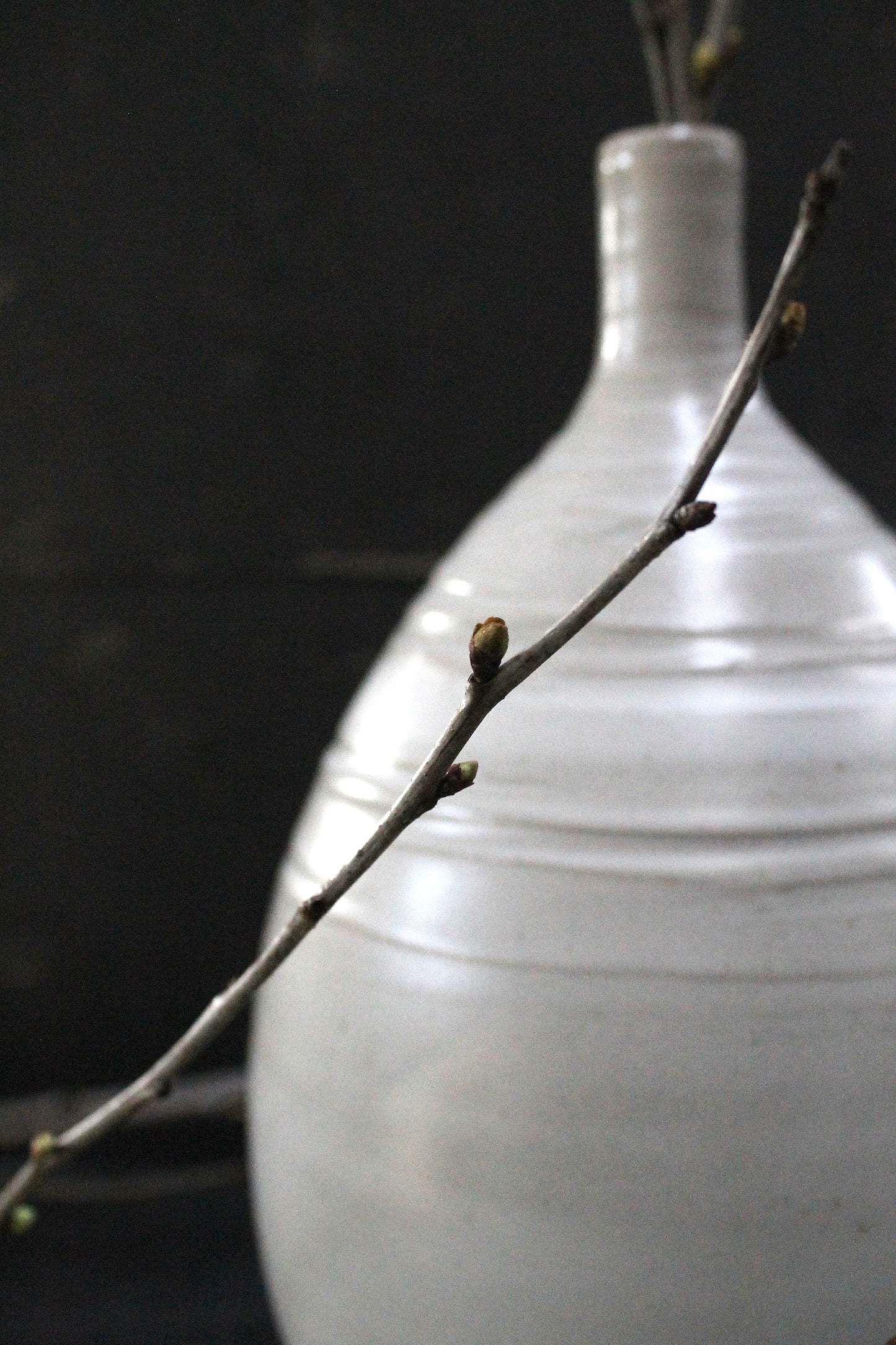 Long Necked Vases (Boho & Signature Collection)